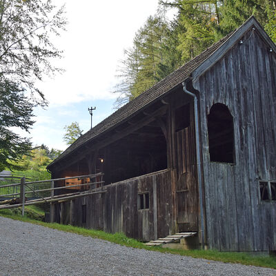 This sawmill was part of a large agricultural property which also included a grain mill, a barn, a large residential and farm building and a stable with an oven.