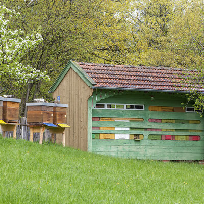 Bee-keeping once played an important role in agricultural self-sufficiency. As well as being a sweetener, honey was considered an important remedy. Up to 16 bee colonies could live in this apiary, with each beehive accommodating 20,000 to 70,000 bees.