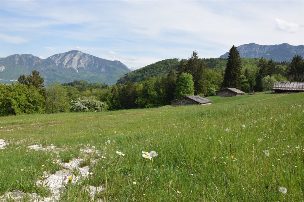 wiese1-flm-glentleiten