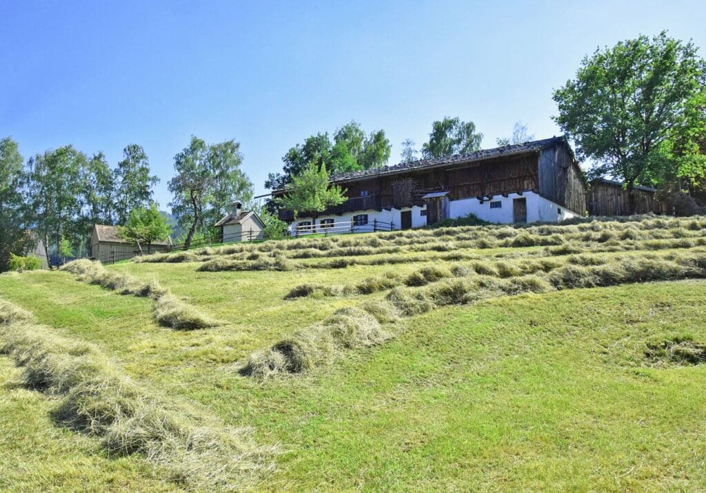 Wiese mit Heu zum Trocknen ausgelegt