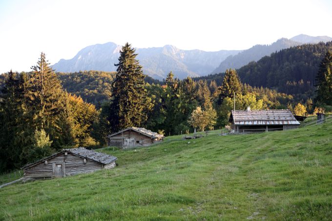 Drei Almen vor Bergkulisse.