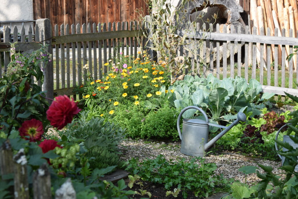 DSC_1913 Garten mit Blumen und Pflanzen und einer Gießkanne.